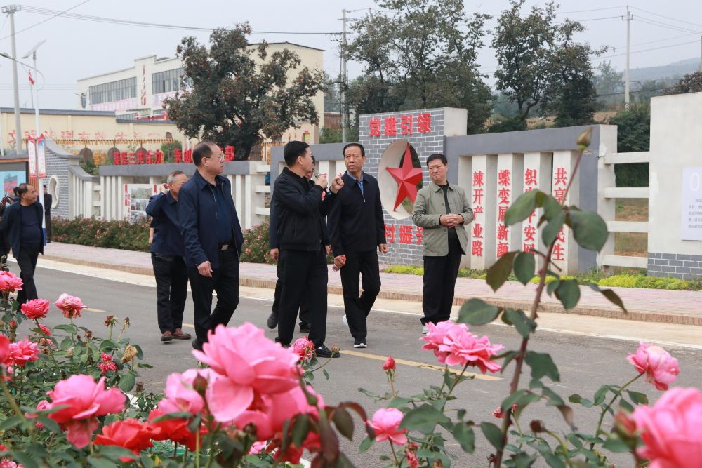 三门峡市慈善总会开展“幸福家园”村社互助工程观摩活动 